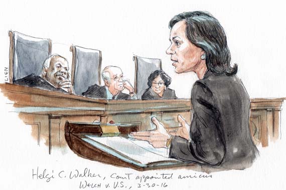 Helgi C. Walker, Court-appointed amicus