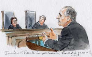 Frank v. Gaos, No.17-961