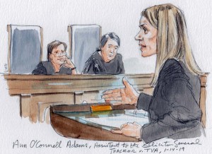 Thacker v. TVA, No.17-1201