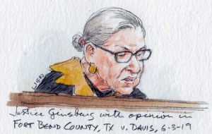 Opinion: Fort Bend County v. Davis