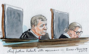 Opinions: Rucho & Benisek