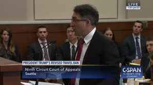 Screen Shot 2020-04-29 at 11.00.53 AM