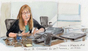 Torres v. Madrid, No.19-292