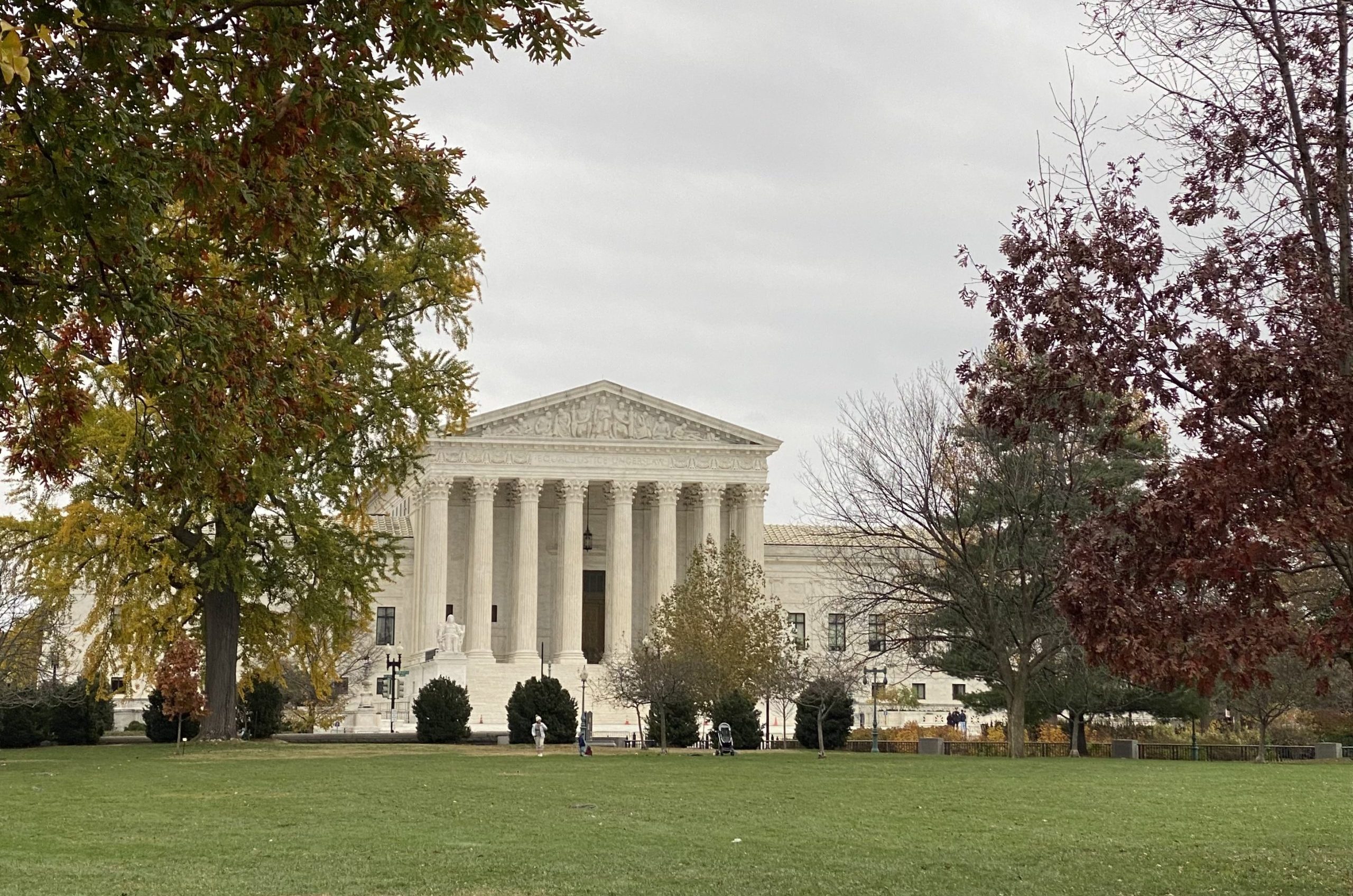 Supreme Court trees