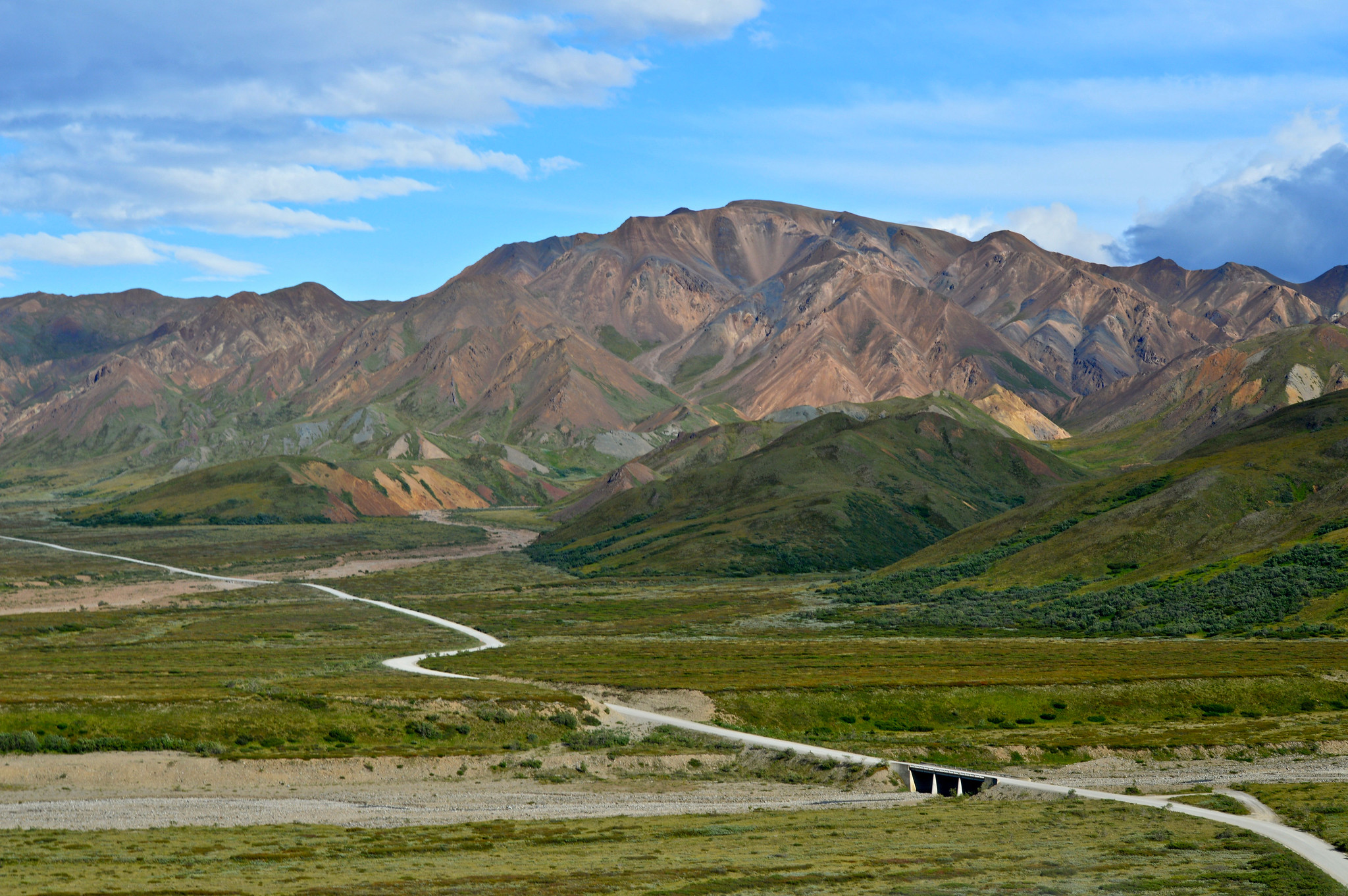 50870310941_1db9734815_k