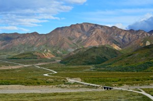 50870310941_1db9734815_k