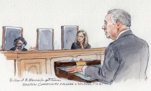 Houston Community College v. Wilson, No.20-804