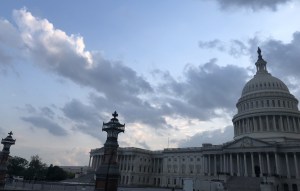 Capitol