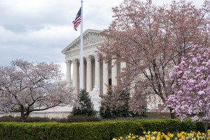 supremecourtspring